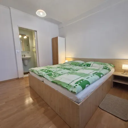 Apartament Sarmir *